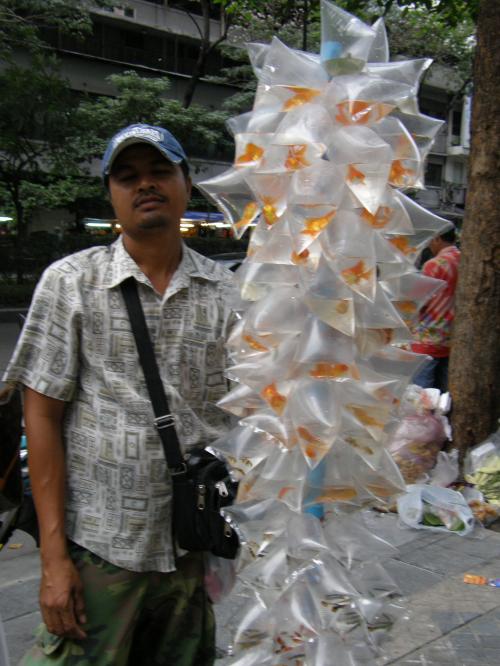 La Thaïlande en images