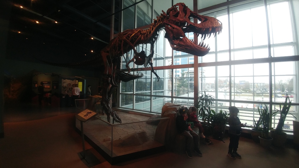 March Break in Vancouver: Seventh Day: Everlasting Science and Adventurous Home Trip