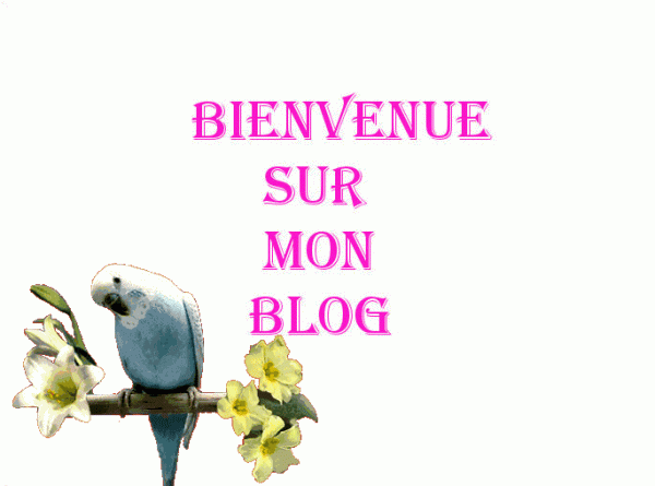 bienvenue