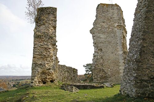 Montfort-l'Amaury (Yvelines)