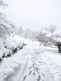 L'hiver au printemps ! 