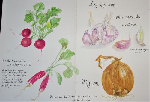 les légumes crus, aquarelles