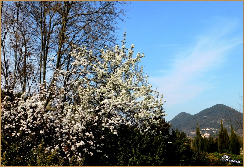 Je suis en "mode" printemps...