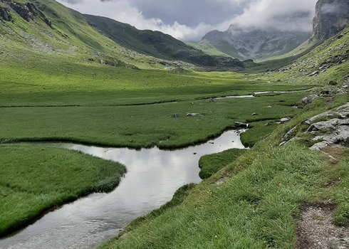 Le Rosuel - Lac de Plagne, le 13-07-2023