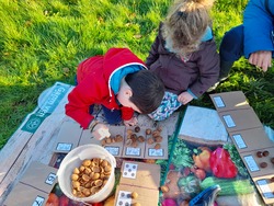 maternelle : classe dehors du 17 novembre 2022