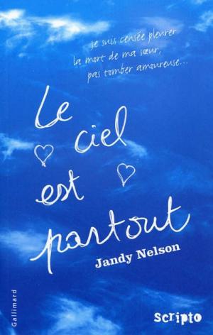 Le ciel est partout / Jandy Nelson