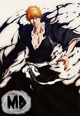 Bleach-21-200x300-copie-2