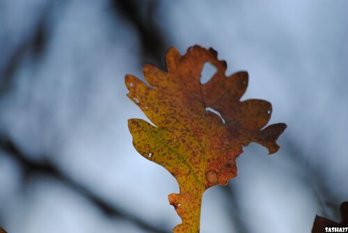 Petite ballade sur la Voie Verte.