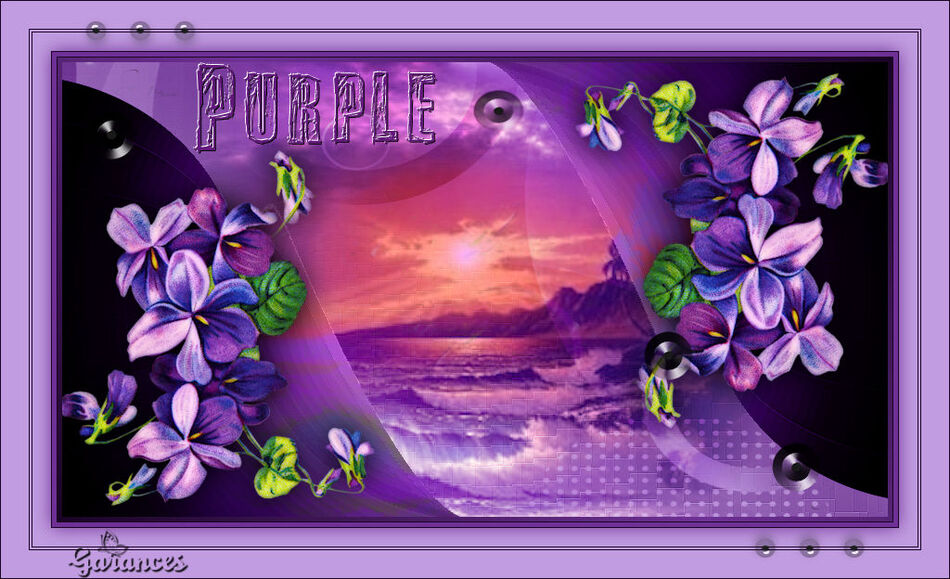 Versions Purple 
