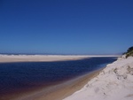 Excursion en Tasmanie