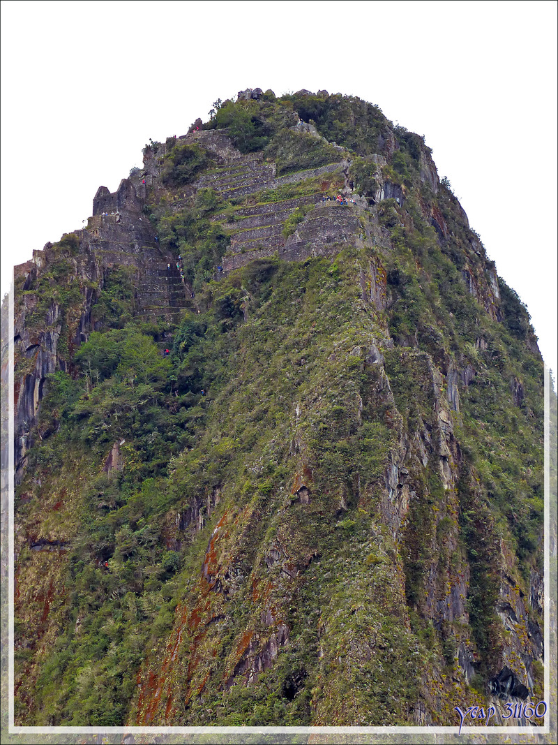 Le Wayna Picchu (2720 m) avec en dessous la placette de la Roche Sacrée - Machu Picchu - Pérou