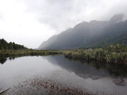 New Zealand... ou la nature à l'état pure !