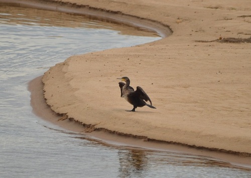 ... bords de loire...!