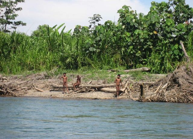 Le Brésil combat le trafic de bois pour protéger les Indiens Awa