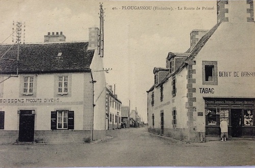 St-Jean-du-Doigt, Plougasnou, le Diben (29)