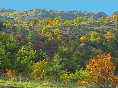 Les collines de Cahors à l'Automne