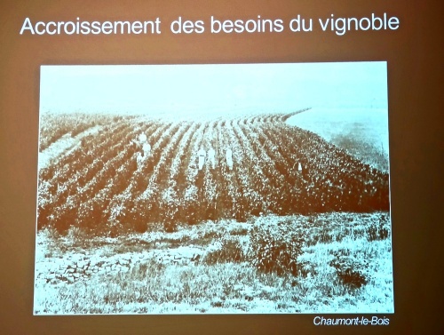 Une très intéressante conférence sur les pressoirs anciens du Châtillonnais, par Anne Bouhélier