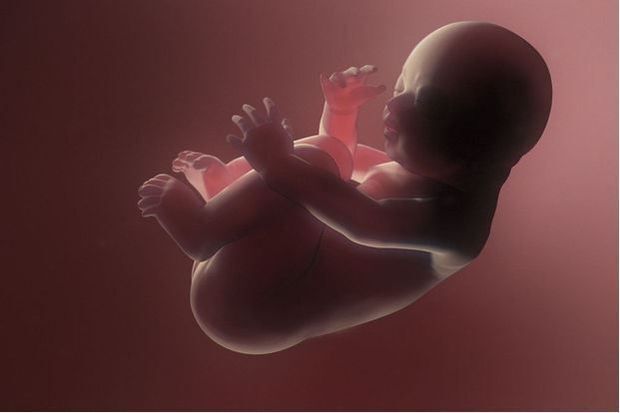 Le premier embryon humain génétiquement modifié est chinois