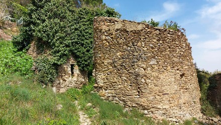 Peut être une image de arbre, mur de briques et plein air