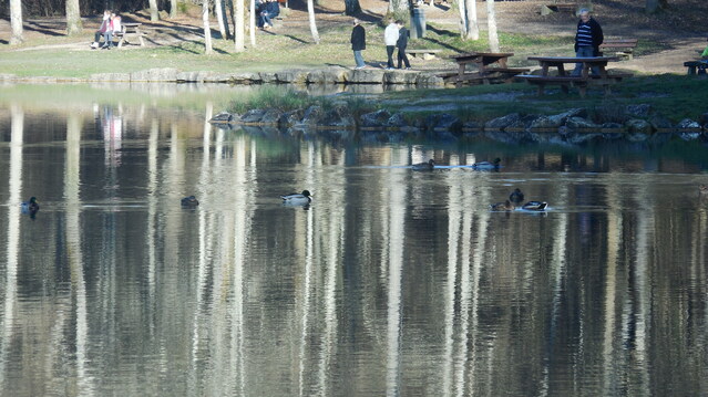 Promenade à l' Etang de Rosière