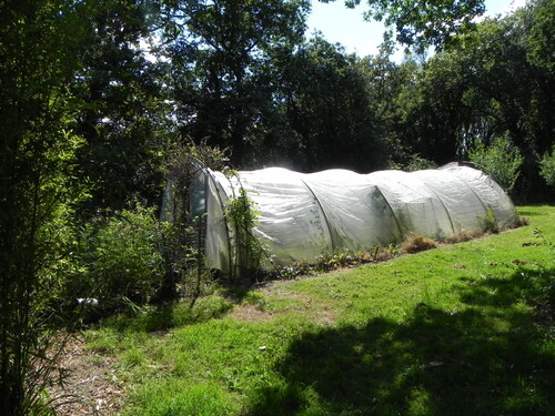 Mon jardin dans l'ensemble 