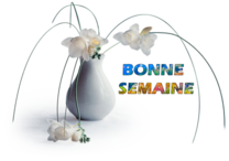 bonne semaine,tube,psp,png,clipart,vecteurs