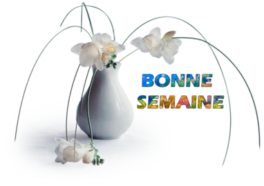 bonne semaine,tube,psp,png,clipart,vecteurs