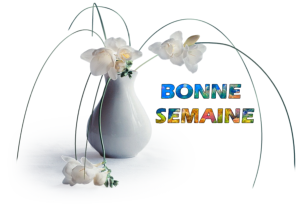 bonne semaine,tube,psp,png,clipart,vecteurs