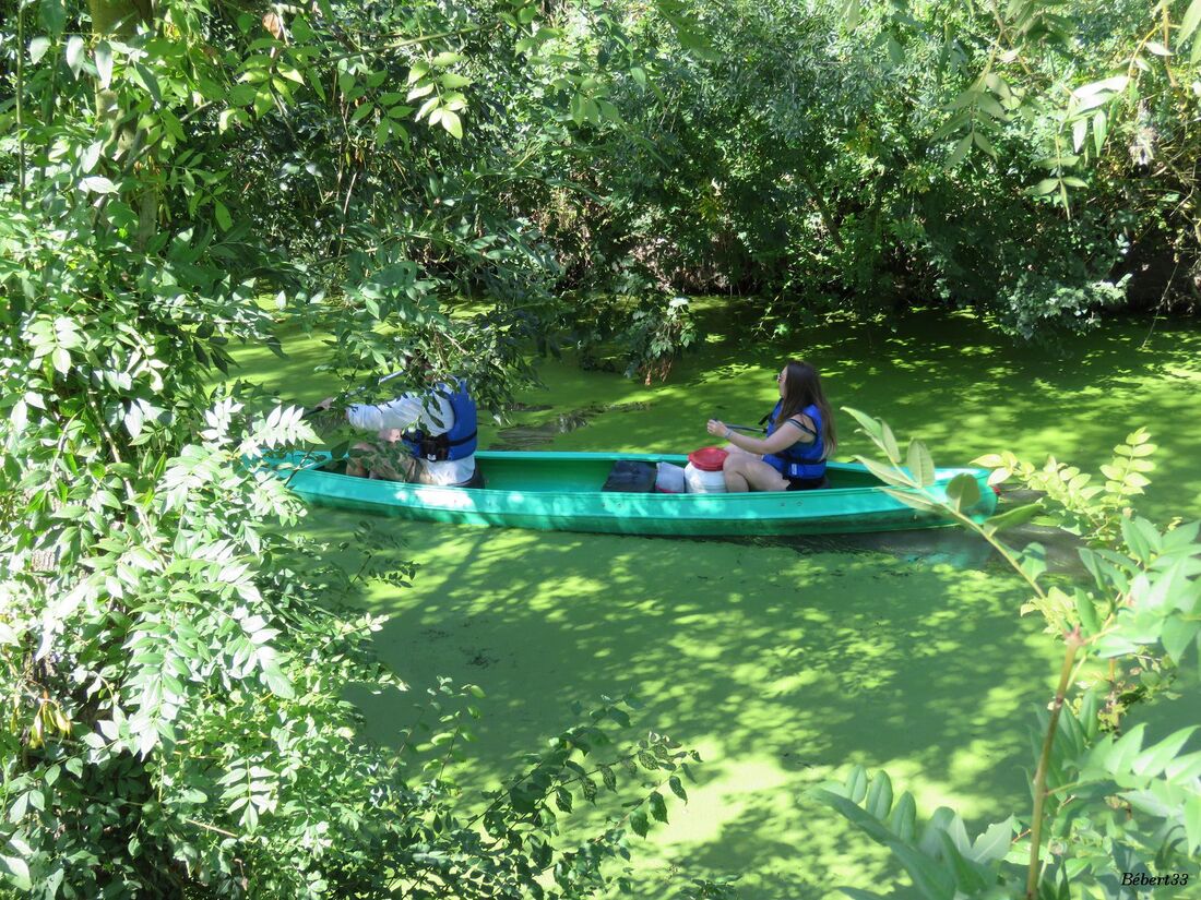 Maillezais dans le marais Poitevin