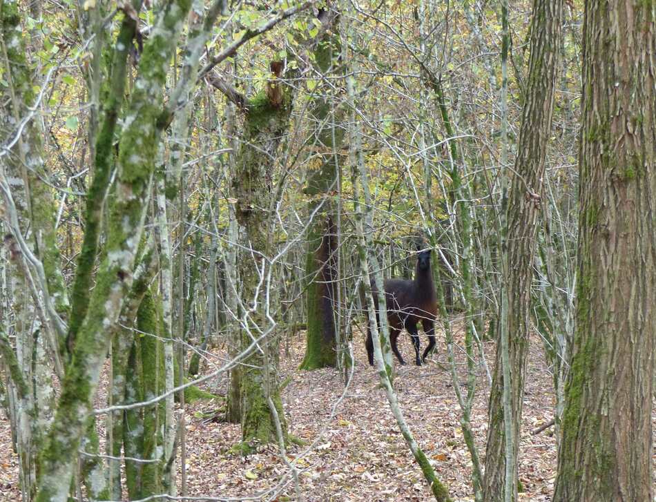 Un p’tit coin de paradis en Haute-Saône.