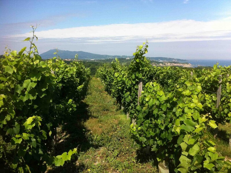 vignobles-corniche-d'urugne