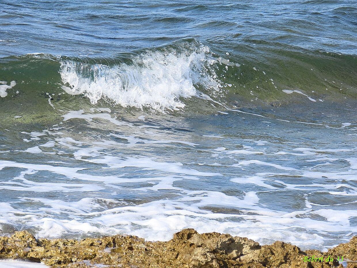 Des vagues à Carro  (dept13)