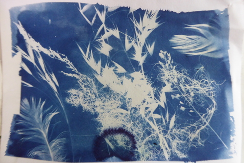 Cyanotype et bicarbonate de soude