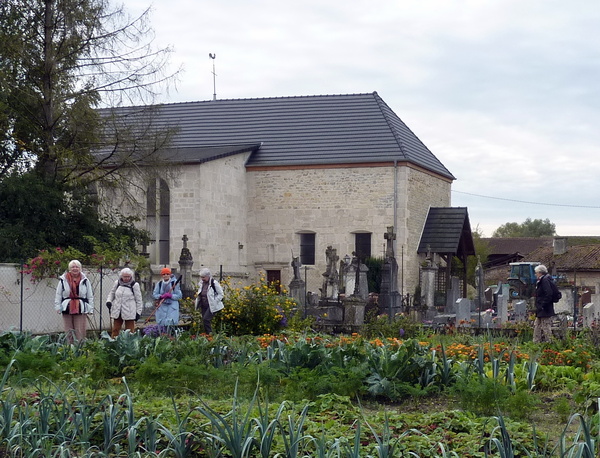 Randonnée au Lac du Der (troisième jour) : la presqu'île de Nemours