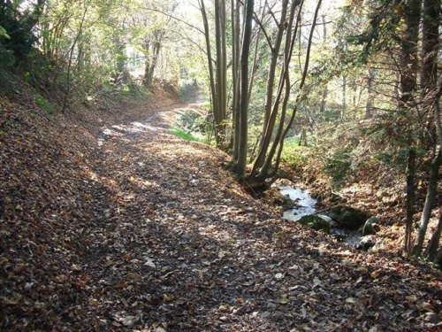 Circuits du petit et du grand Roux