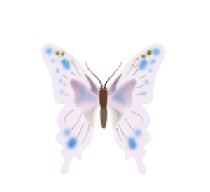 Papillons / 11