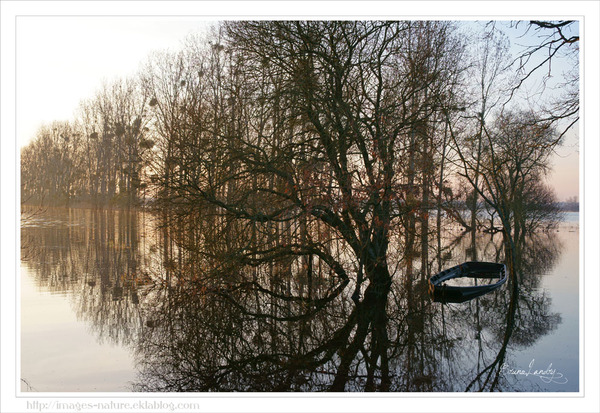 Le marais de  Goulaine