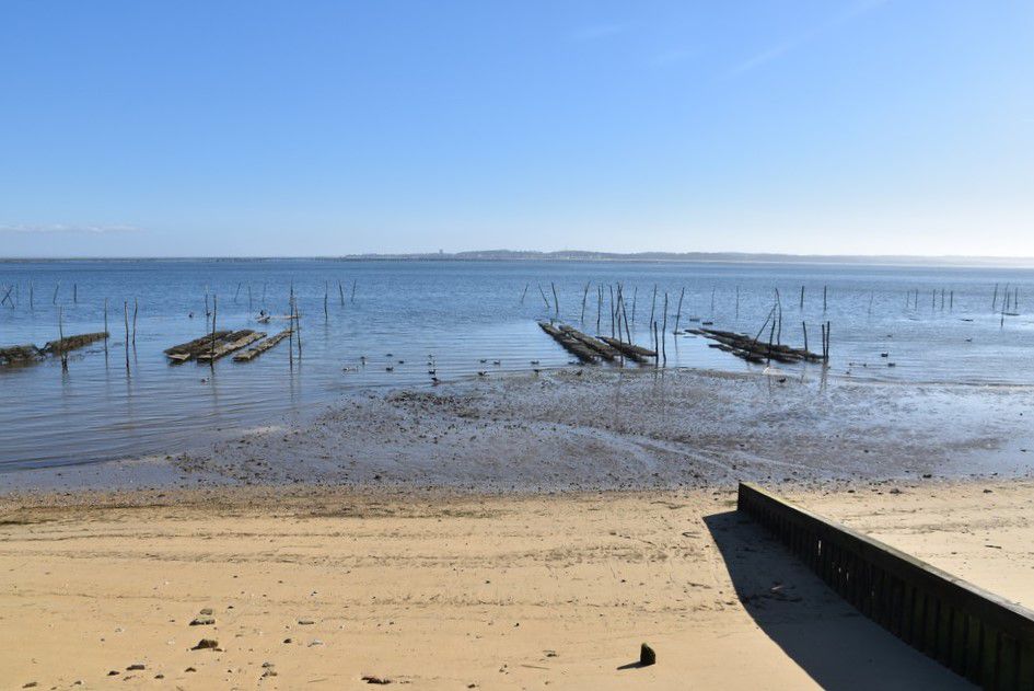 Le Bassin d'Arcachon, vu du village de l'Herbe - janvier 2024...