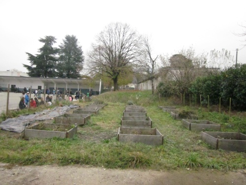 *Présentation du jardin