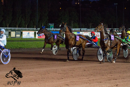 PRIX AUDRUICK (Gr B)