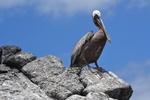 Carnet route Galapagos