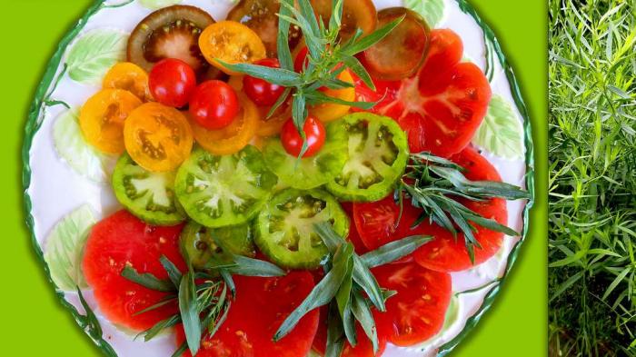 Les délicieuses herbes aromatiques et leurs vertus
