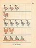 5doigtsmain p18