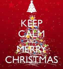 Keep calm and enjoy Christmas!