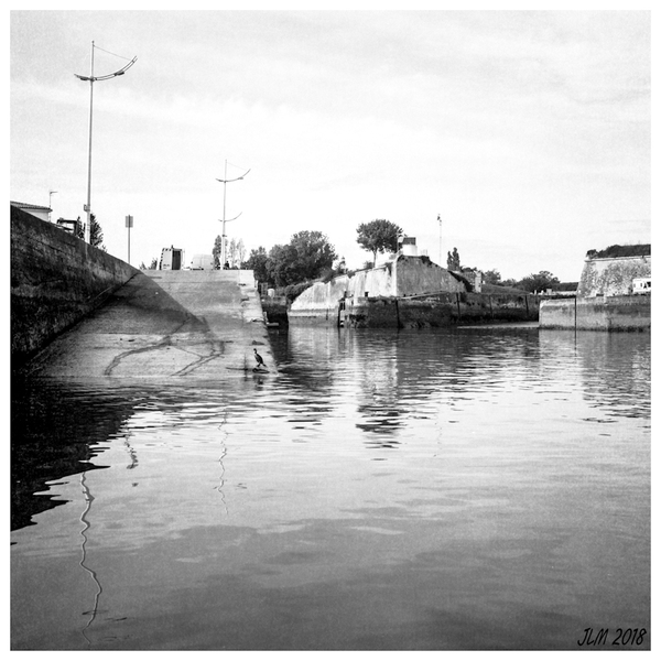 les Pieds dans l'Eau