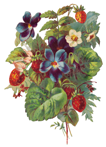 tubes victoriens / fruits