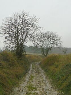 Sur les pas de Marcel Pagnol (Circuit N°2)