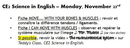 CE2SC - Skeleton & movements (3) - introduction to muscles