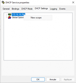 Transformer votre Windows en un pare-feu avancé, avec serveur DHCP, DNS etc.. avec WinGate