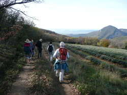 17 Nov. 2015  Montagne de Briesse   Rochebaudin